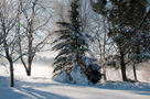 Blizzard 2010 - February 5 & 6